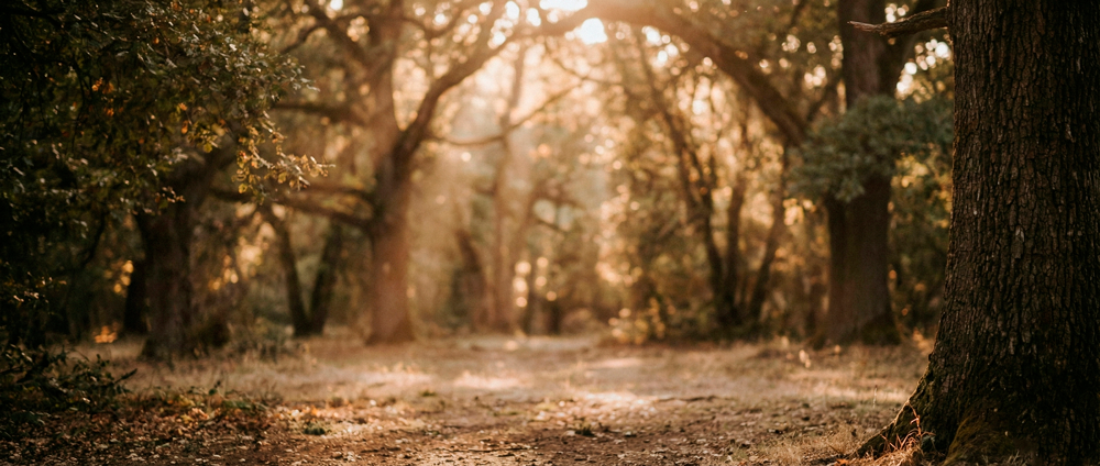 Pessoa feliz - bem-estar mental
